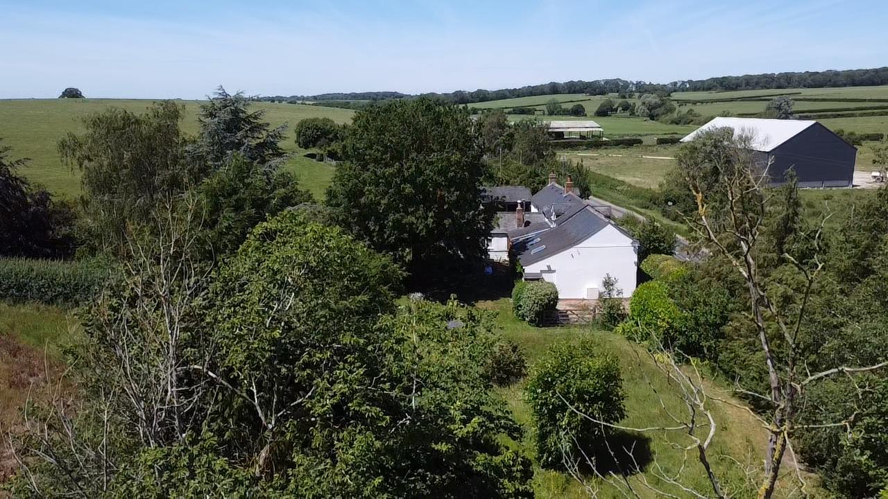 Side Garden Drone Picture